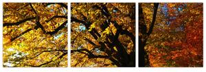 Obraz jesennej krajiny (Obraz 90x30cm)