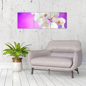 Obraz s orchideí (Obraz 90x30cm)
