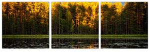 Obraz - jesenná krajina (Obraz 90x30cm)