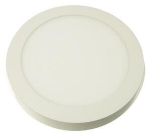 LED Stropné svietidlo GERRIT LED/6W/230V 3000K