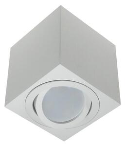 Bodové svietidlo FEBE 1xGU10/30W/230V biela