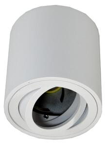 Bodové svietidlo FEBE 1xGU10/30W/230V biela
