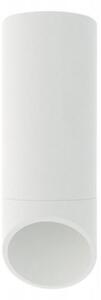 Stropné svietidlo VALDA 1xGU10/60W/230V biela