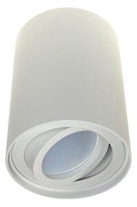 Stropné svietidlo CORONA 1xGU10/30W/230V biela