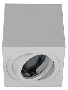 Bodové svietidlo FEBE 1xGU10/30W/230V biela
