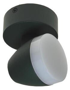 LED Stropné svietidlo SURMUR LED/6W/230V zelená
