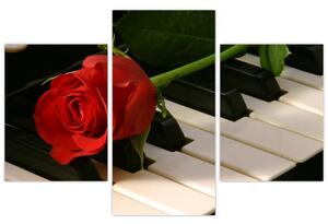 Obraz ruže na klavíri (Obraz 90x60cm)