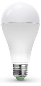 LED Žiarovka LEDSTAR ECO A65 E27/20W/230V 4000K
