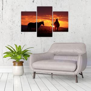 Obraz - kone pri západe slnka (Obraz 90x60cm)