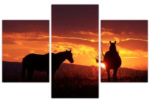 Obraz - kone pri západe slnka (Obraz 90x60cm)