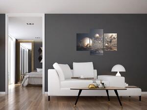 Abstraktné obraz - šedej gule (Obraz 90x60cm)