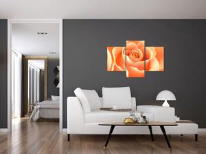 Obraz oranžové ruže (Obraz 90x60cm)
