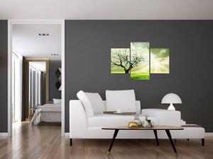 Jarný strom - moderný obraz (Obraz 90x60cm)