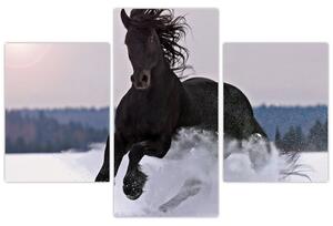 Obraz kone v snehu (Obraz 90x60cm)