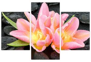Obraz kvetov (Obraz 90x60cm)