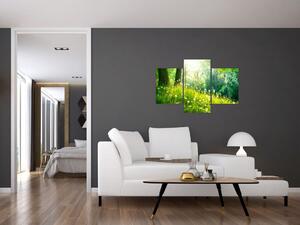 Moderné obrazy prírody (Obraz 90x60cm)