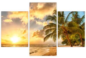 Obraz palmy na piesočnatej pláži (Obraz 90x60cm)