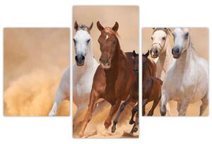 Obrazy bežiacich koní (Obraz 90x60cm)