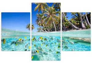 Obraz tropického mora (Obraz 90x60cm)