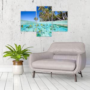 Obraz tropického mora (Obraz 90x60cm)