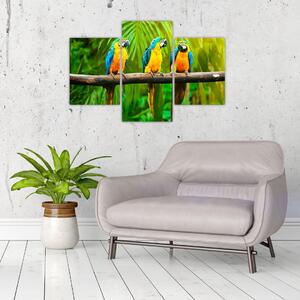 Moderný obraz - papagáje (Obraz 90x60cm)