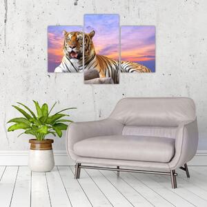 Obraz ležiaceho tigra (Obraz 90x60cm)