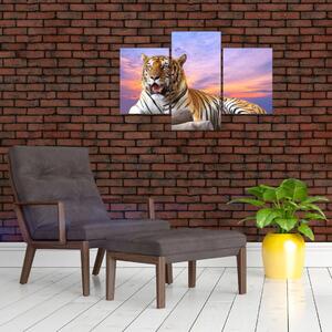 Obraz ležiaceho tigra (Obraz 90x60cm)