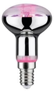 LED Žiarovka na rast rastlín GROW ZELENÁ R50 E14/4W/230V - Paulmann 28734