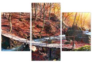 Obraz mosta - jesenné cesta lesom (Obraz 90x60cm)