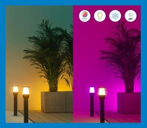 WiZ - LED RGBW Stmievateľná vonkajšia lampa ELPAS LED/4,8W/12/230V IP65 Wi-Fi