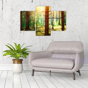 Moderný obraz - les (Obraz 90x60cm)