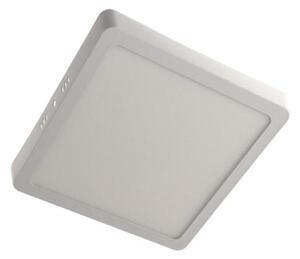 LED Stropné svietidlo GERRY LED/12W/230V 3000K biela