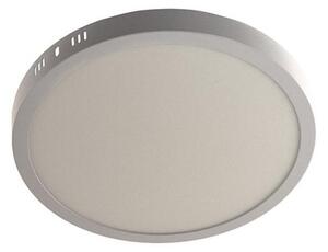 LED Stropné svietidlo GERRIT LED/24W/230V 4000K biela