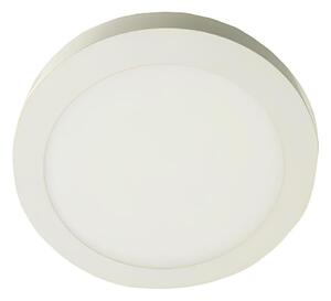 LED Stropné svietidlo GERRIT LED/12W/230V 3000K biela