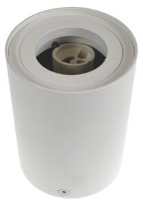 Bodové svietidlo CRIKO 1xGU10/30W/230V biela