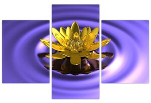 Obraz kvetu vo vode (Obraz 90x60cm)