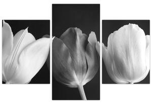 Čiernobiely obraz - tri tulipány (Obraz 90x60cm)