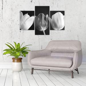 Čiernobiely obraz - tri tulipány (Obraz 90x60cm)