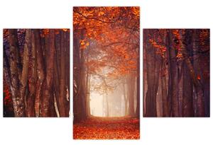 Jesenné les - obraz (Obraz 90x60cm)