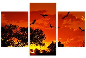 Obraz vtákov pri západe slnka (90x60 cm)