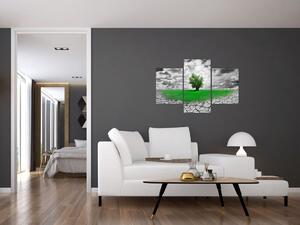 Zelený ostrov vo vyprahnutej krajine - obrazy do obývačky (Obraz 90x60cm)