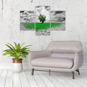 Zelený ostrov vo vyprahnutej krajine - obrazy do obývačky (Obraz 90x60cm)