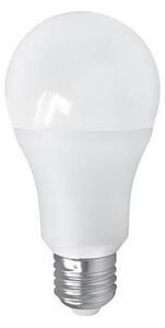 LED Žiarovka PITT A60 AC/DC E27/12W/24V 4000K
