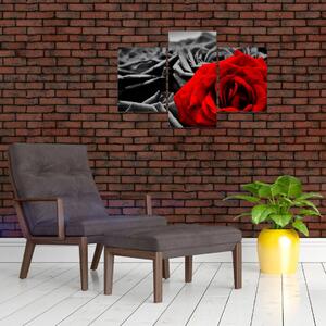 Obraz červené ruže (Obraz 90x60cm)