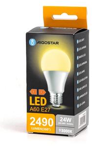 LED Žiarovka A60 E27/24W/230V 3000K - Aigostar