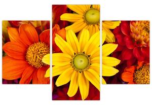 Obraz kvetín (Obraz 90x60cm)