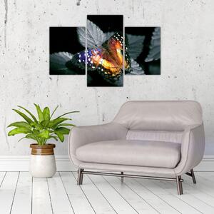 Motýľ na liste - obraz (Obraz 90x60cm)
