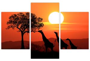 Obraz žirafy pri západe slnka (Obraz 90x60cm)