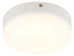 Globo 12387-8W - LED Stropné svietidlo MATTHEW LED/8W/230V biela