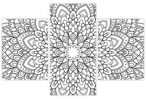 Obraz - čiernobiela mandala (Obraz 90x60cm)